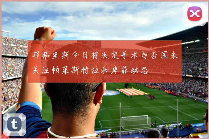 邓弗里斯今日将决定手术与否国米关注帕莱斯特拉和库菲动态