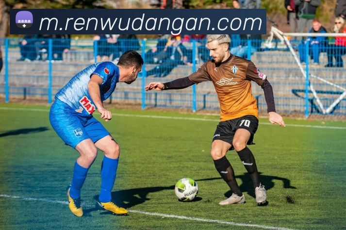 j9九游真人游戏发展历程